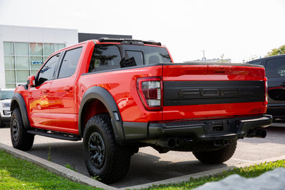 WingMan -  Ford F-150 2015-2025, Raptor 2015-2025, Super Duty 2017-2025