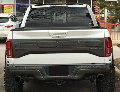 WingMan -  Ford F-150 2015-2025, Raptor 2015-2025, Super Duty 2017-2025